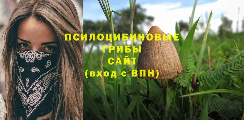 Галлюциногенные грибы Magic Shrooms  Алексин 